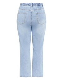 City Chic - Plus size Harley Fit Hanna Straight Leg Regular Jean - light wash