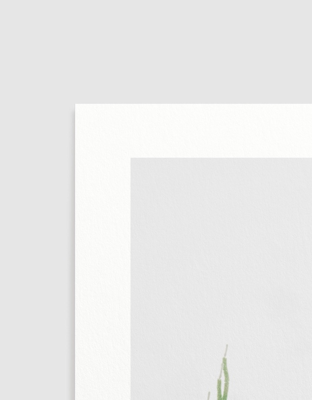 Olive et Oriel - Palm Springs #75 Art Print