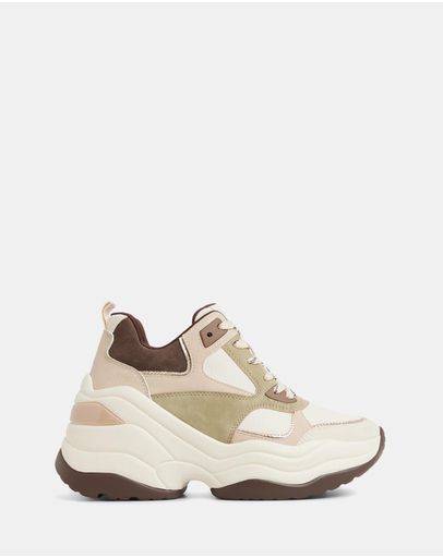 Olive Multi