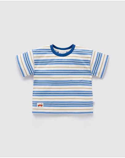 Blue Jay Stripe