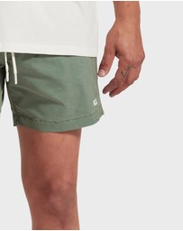 Academy Brand - Teamster Boardy