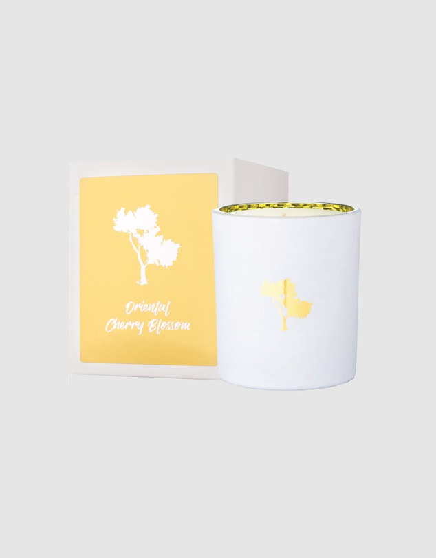 Silk Oil of Morocco - Oriental Cherry Blossom Luxe Natural Soy Candle