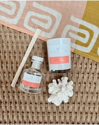 Palm Beach Collection - Summer Peach Mini Reed Diffuser 50ml