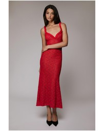 Bardot - Alegra Stretch Lace Midi Dress