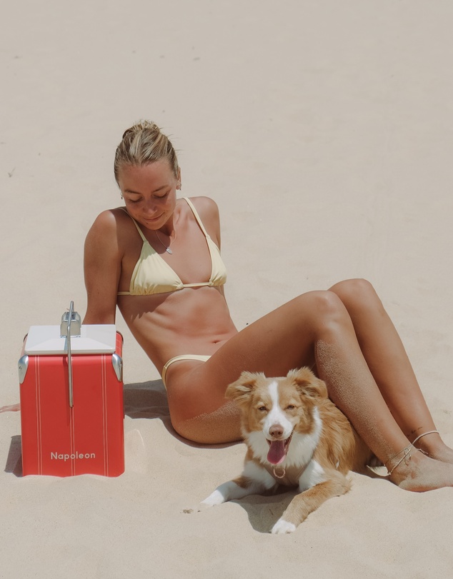 Napoleon Goods - Mini Cooler