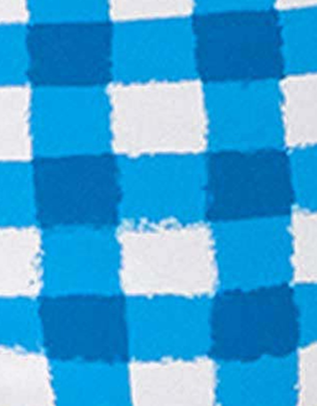 Kate Spade - Gingham Mid-Rise High Cut Bikini Bottom