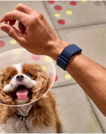 Garmin - CIRQA Smart Band L/XL