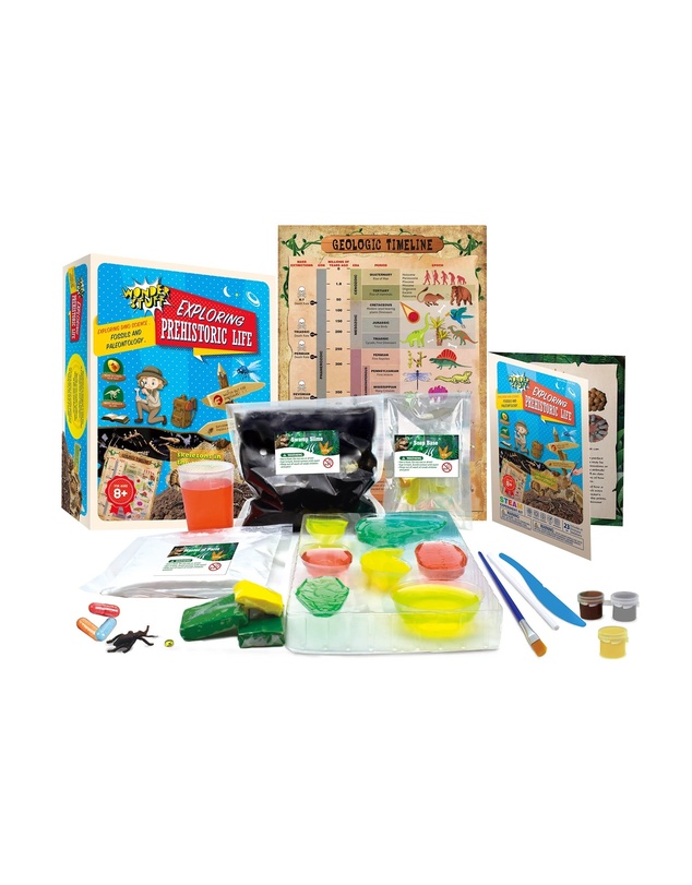 Wonderstuff - Exploring Prehistoric Life Kit