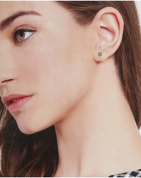 ALDO - Elisabeth Multipack Earrings