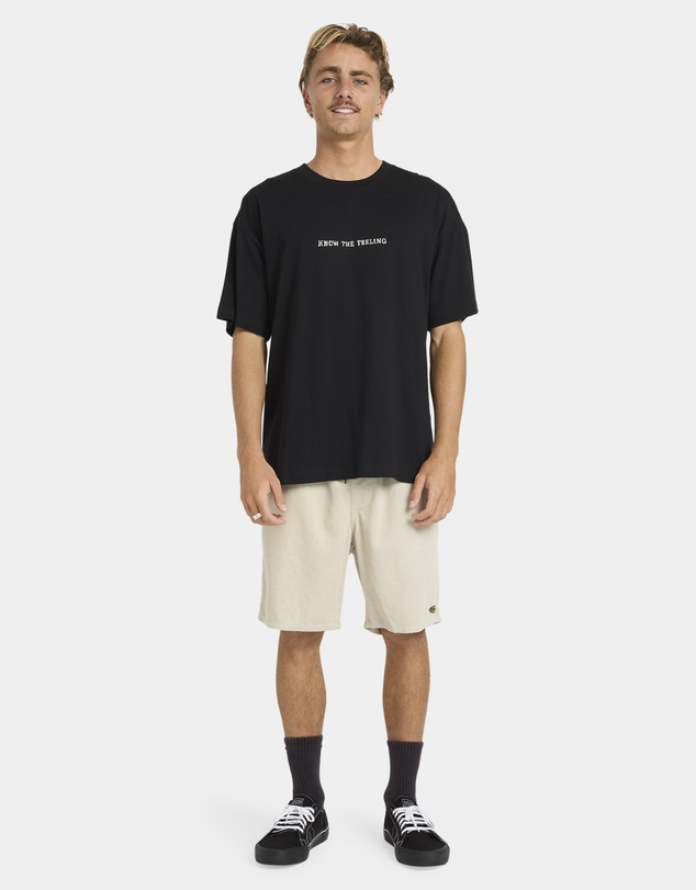Billabong - Mens Timeline T-Shirt
