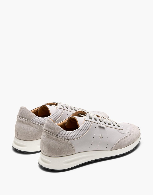 Aquila - Apollo Sneakers