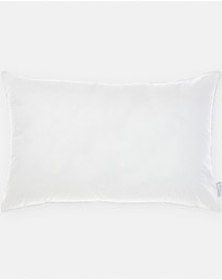Linen House - All-Seasons Standard Pillow