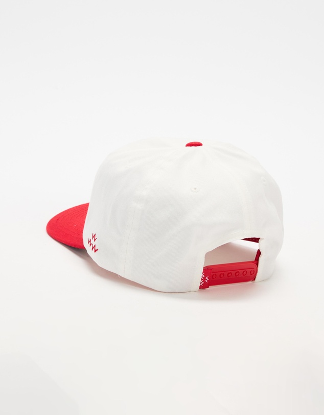 Birds of Condor - Arizona Snapback
