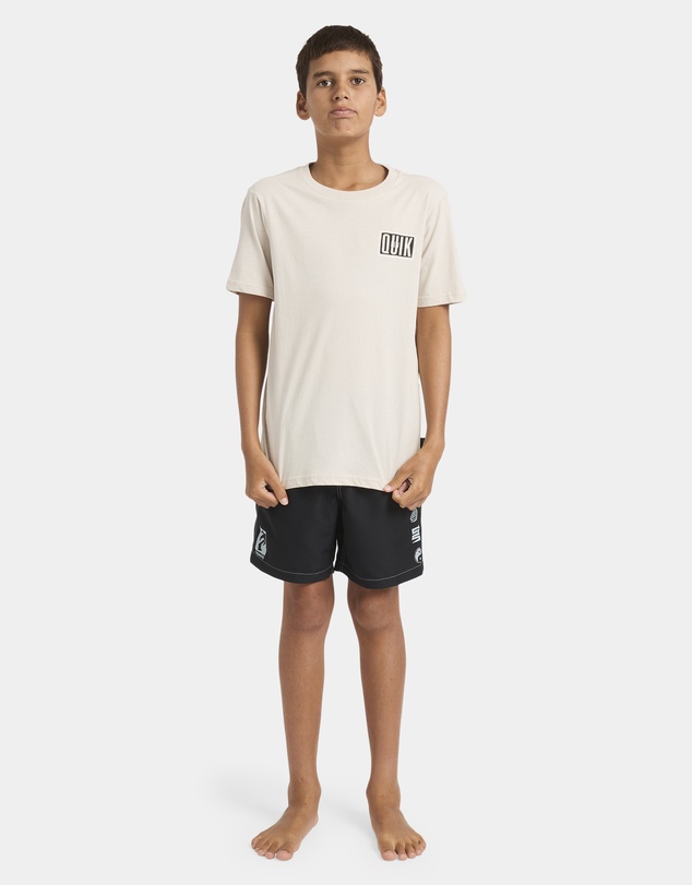 Quiksilver - Boys 8 to 16 Static Box T-Shirt