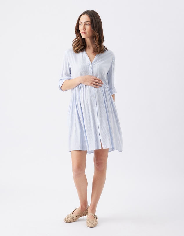 Ripe Maternity - Sam Stripe Dress