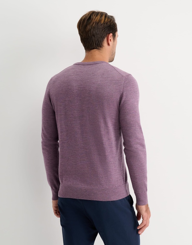 Sportscraft - Merino Crew Neck Knit