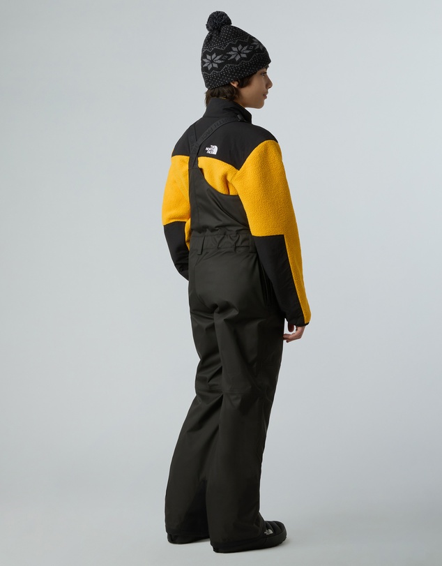 The North Face - Freedom Insulated Bib - Teens