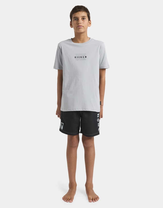 Quiksilver - Boys 8 to 16 Next Gen Walkshorts