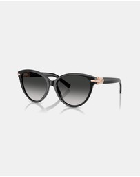 Tiffany & Co. - 0TF4261