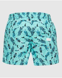 Tolu Australia - Boardshorts with Whale Sharks