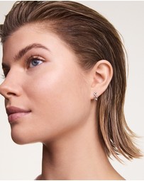 Daniel Wellington - 3-Link Earrings