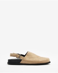 Dazie - Lucy Suede Buckle Mules