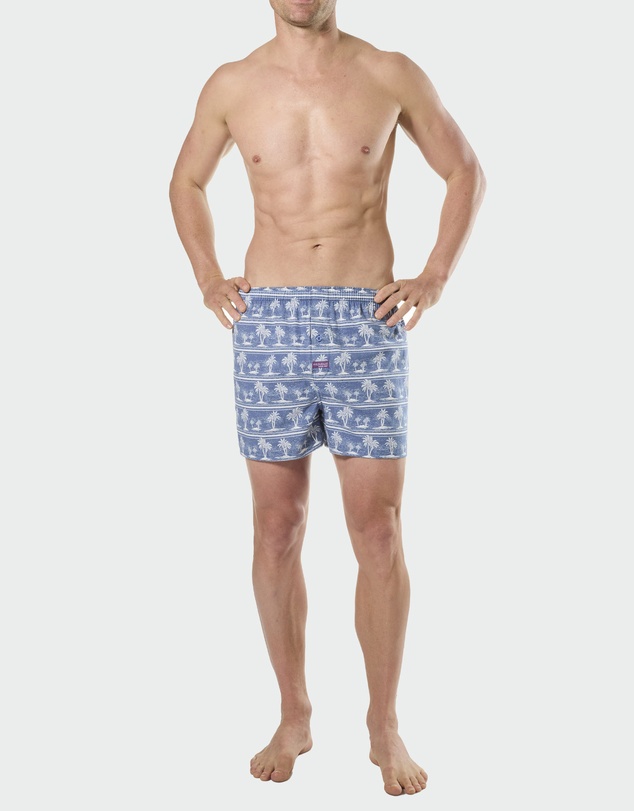 Mitch Dowd - Mitchdowd Mens Maui 3 Pack Boxer Shorts - Tropical and Stripe