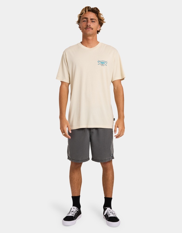Billabong - Mens Heritage Arch WW Premium T-Shirt