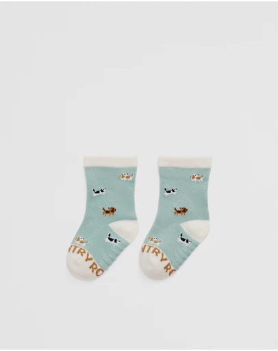 Country Road - Dog Sock