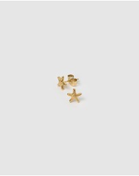 Arms Of Eve - Starfish Gold Studs