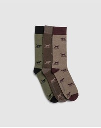 Rodd & Gunn - Dogs-A-Plenty Three Pack Socks