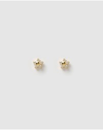 Arms Of Eve - Gardenia Studs - Stone