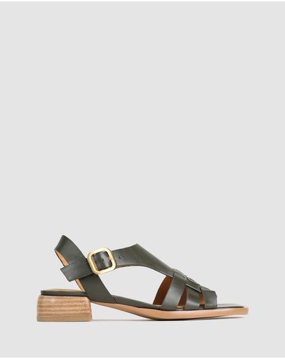 Dk Olive