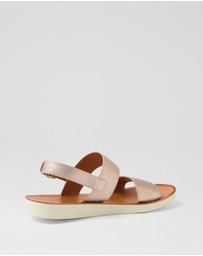 MIDAS - Nieda Mi