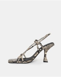 Sol Sana - Verne Heel Python