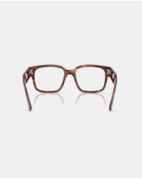 Ray-Ban Optical - Evolution