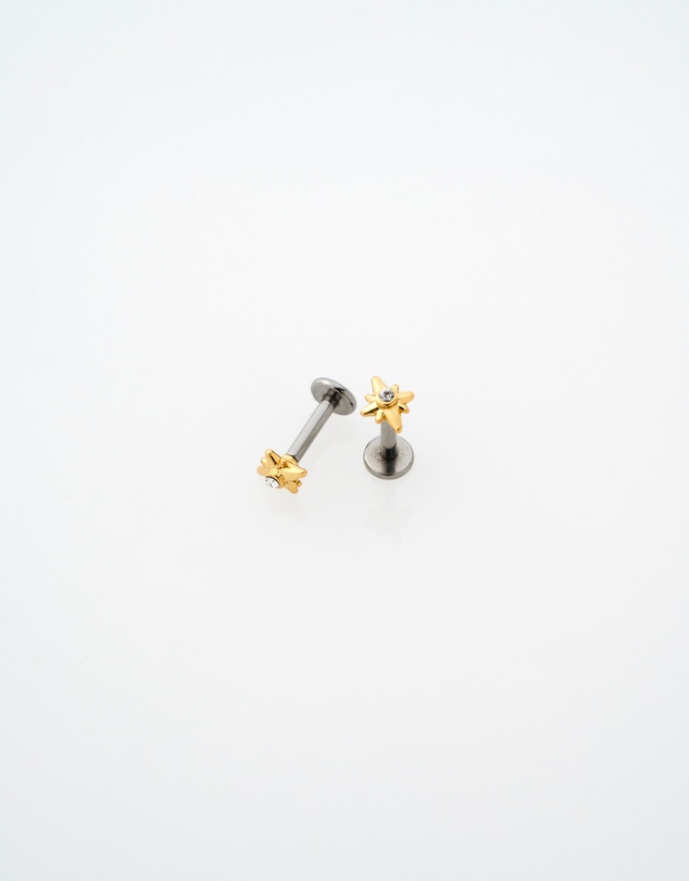 Ted Baker - SURI: Star Charm Crystal Micro Stud Earrings