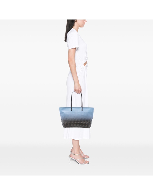 Pre-Loved by Azura Reborn - Pre-Loved Medium Ombre Zucca Spalmati Roll Tote