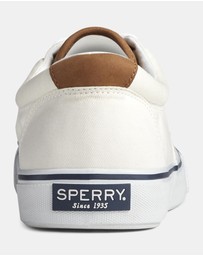 Sperry - Striper II Canvas Medium White- Men's