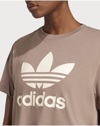adidas Originals - Adicolor Trefoil Boxy Tee Womens