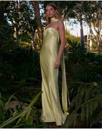 Pasduchas - Quinn Strapless Maxi Dress