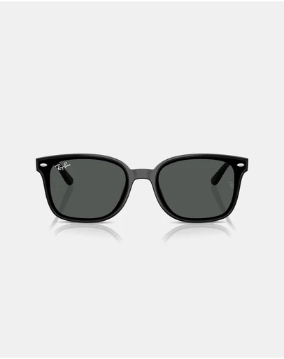 Ray-Ban - RB4461D