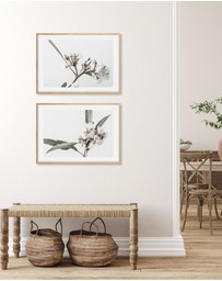 Olive et Oriel - White Eucalyptus I Art Print