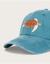 Pallion Point - Turtle Fish Lid