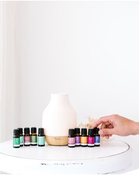 ECO. Modern Essentials - ECO. Coastal Diffuser & ECO. Favourites Collection