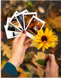 Fujifilm - Instax Mini Film 20 Pack