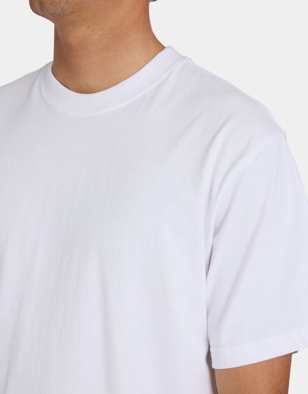 Billabong - Mens Premium Wave Wash T-Shirt