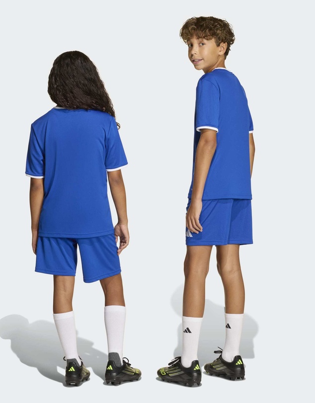 adidas Performance - Entrada26 Football Shorts Kids