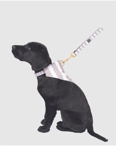 Mog & Bone - Neoprene Lead - Latte Hamptons Stripe Print