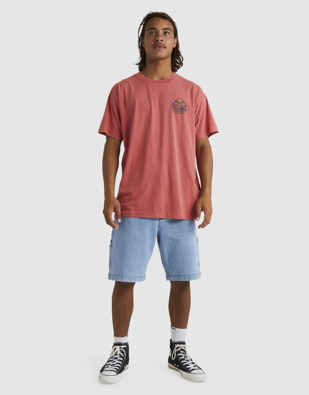 Billabong - Mens Homegrown T-Shirt